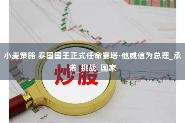 小麦策略 泰国国王正式任命赛塔·他威信为总理_承诺_挑战_国家