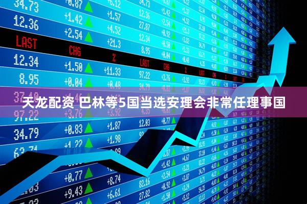 天龙配资 巴林等5国当选安理会非常任理事国