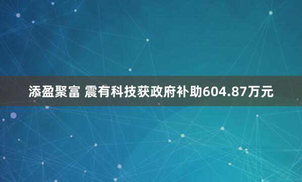 添盈聚富 震有科技获政府补助604.87万元