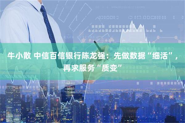 牛小散 中信百信银行陈龙强：先做数据“细活”，再求服务“质变”